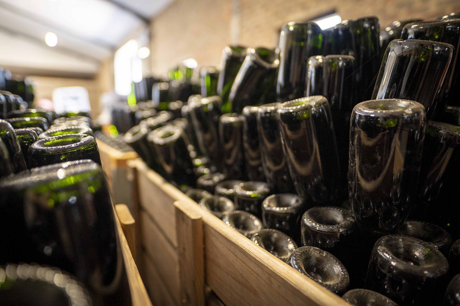The Prestige of Cap Classique in the Plettenberg Bay Winelands
